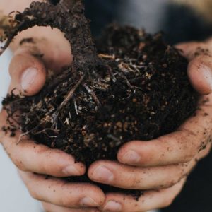 Gardening as a Form of Mindfulness